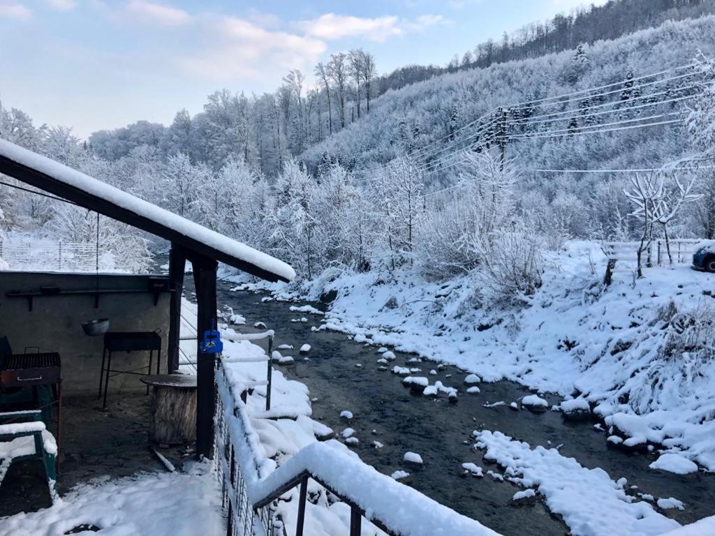 فيلا Podul De Brazi - Fir Bridge Cîrţişoara المظهر الخارجي الصورة